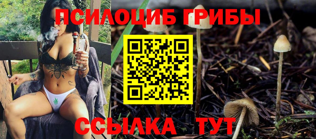 Якутск  Галлюциногенные грибы MAGIC MUSHROOMS  Вход с VPN 